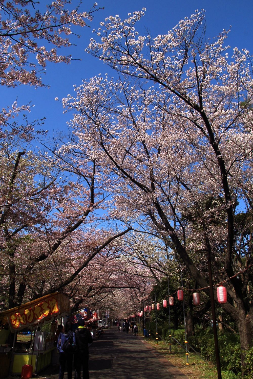 🏞️ 타츠미노모리 해변공원 (타츠미노모리 카이힌 코엔) 이미지 5